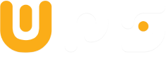 Web Panel Solutions